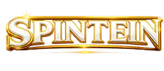 Spintein logo
